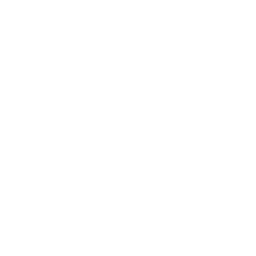 可視化